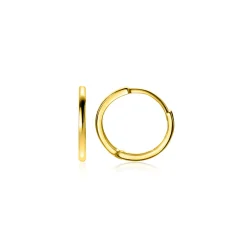 12mm ZINZI Gold 14 karaat gouden oorringen met luxe scharniersluiting 10 x 1,2mm ZGO524