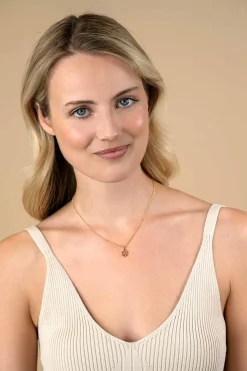 9mm ZINZI gold plated zilveren Vis sterrenbeeldhanger bezet met witte zirconia ZIHY-VIS (zonder collier)