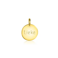12mm ZINZI gold plated zilveren hanger glad rond plaatje voor gravure ZIH2345G12 (zonder collier)
