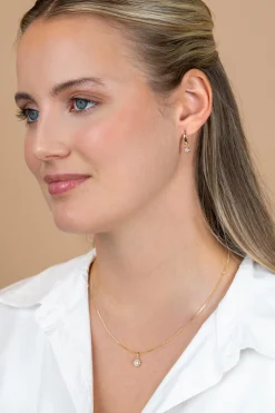 ZINZI Gold 14 karaat gouden oorbedels met ronde witte zirconia ZGCH560 (zonder oorringen)