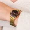 ZINZI Roman horloge 34mm bruine wijzerplaat geelgoudkleurige stalen kast en mesh band Japans uurwerk ZIW536M
