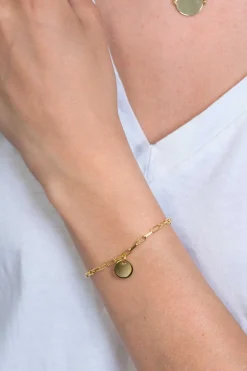 ZINZI zilveren armband 14K geel verguld paperclip schakel rond plaatje ZIA2166G