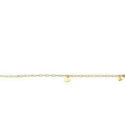 ZINZI zilveren armband 14K geel verguld paperclip schakel rond plaatje ZIA2166G