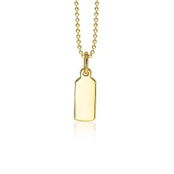 ZINZI zilveren hanger geel verguld glad rechthoek ZIH2344G (zonder collier)