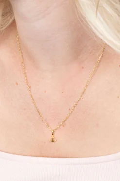 ZINZI zilveren hanger geel verguld anker ZIH2063G (zonder collier)