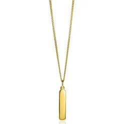 ZINZI zilveren hanger 14K geel verguld 32mm langwerpige plaat ZIH2213G (zonder collier)