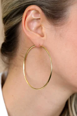ZINZI zilveren oorringen 14K geel verguld glad 65x2mm rond ZIO438G