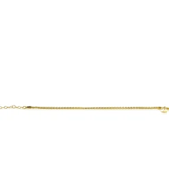 ZINZI zilveren schakelarmband geelverguld palmier 2mm breed ZIA1931G